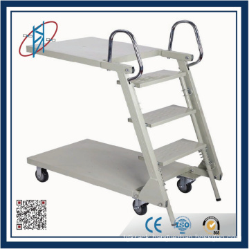 Steel Folding Step Ladder